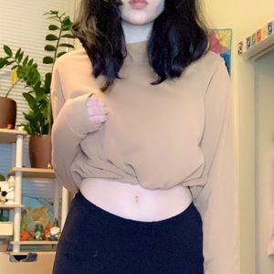 Brown long sleeve cropped sweater